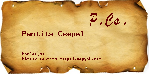 Pantits Csepel névjegykártya